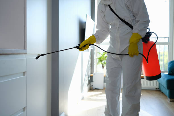 Best Emergency Mold Removal  in Athens, OH