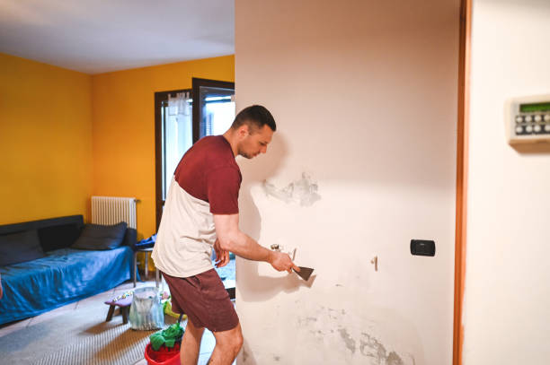 Best Mold Remediation Experts  in Athens, OH