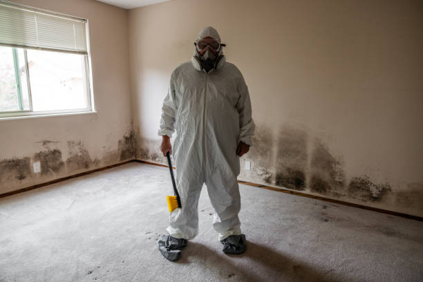 Best Residential Mold Removal  in Athens, OH
