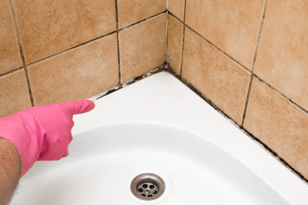 Best Mold Testing  in Athens, OH